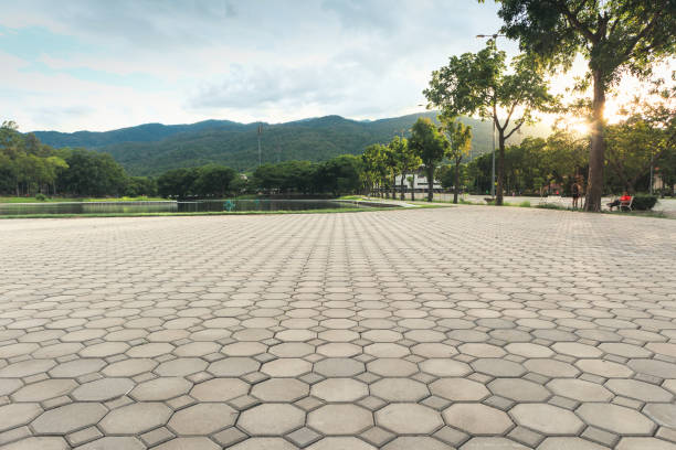 Best Driveway Paving Contractor  in White Plains, NC